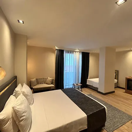 Hotel Ayatoure 4*